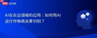 AI在农业领域的应用：如何用AI进行作物病虫害识别？