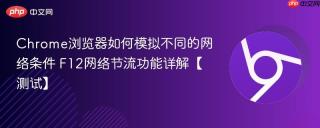 Chrome浏览器如何模拟不同的网络条件 F12网络节流功能详解【测试】
