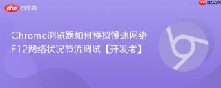 Chrome浏览器如何模拟慢速网络 F12网络状况节流调试【开发者】