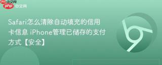 Safari怎么清除自动填充的信用卡信息 iPhone管理已储存的支付方式【安全】