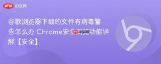 谷歌浏览器下载的文件有病毒警告怎么办 Chrome安全浏览功能详解【安全】