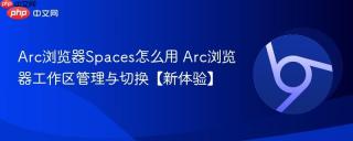 Arc浏览器Spaces怎么用 Arc浏览器工作区管理与切换【新体验】