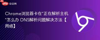 Chrome浏览器卡在“正在解析主机”怎么办 DNS解析问题解决方法【网络】