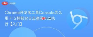chrome开发者工具console怎么用 f12控制台日志查看与js执行【入门】