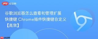 谷歌浏览器怎么查看和管理扩展快捷键 Chrome插件快捷键自定义【高效】