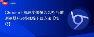 Chrome下载速度很慢怎么办 谷歌浏览器开启多线程下载方法【技巧】