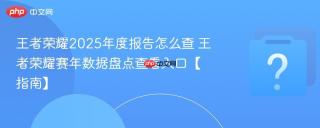王者荣耀2025年度报告怎么查 王者荣耀赛年数据盘点查看入口【指南】