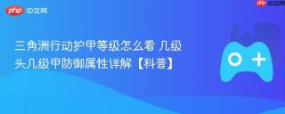 三角洲行动护甲等级怎么看 几级头几级甲防御属性详解【科普】