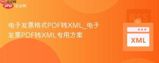 电子发票格式PDF转XML_电子发票PDF转XML专用方案