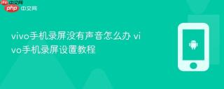 vivo手机录屏没有声音怎么办 vivo手机录屏设置教程