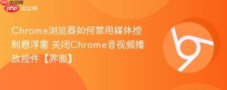 Chrome浏览器如何禁用媒体控制悬浮窗 关闭Chrome音视频播放控件【界面】