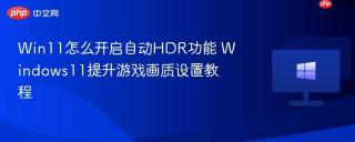 Win11怎么开启自动HDR功能 Windows11提升游戏画质设置教程
