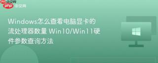 Windows怎么查看电脑显卡的流处理器数量 Win10/Win11硬件参数查询方法