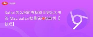 Safari怎么把所有标签页导出为书签 Mac Safari批量保存标签页【技巧】