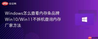 Windows怎么查看内存条品牌 Win10/Win11不拆机查询内存厂家方法