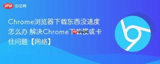 Chrome浏览器下载东西没速度怎么办 解决Chrome下载慢或卡住问题【网络】