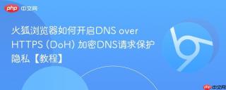 火狐浏览器如何开启DNS over HTTPS (DoH) 加密DNS请求保护隐私【教程】