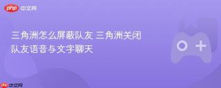 三角洲怎么屏蔽队友 三角洲关闭队友语音与文字聊天