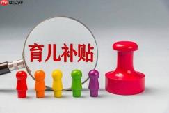 二胎生育补贴怎么领 二胎补贴申请条件及金额【汇总】