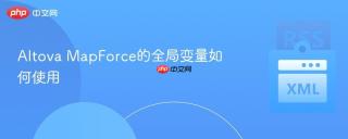 Altova MapForce的全局变量如何使用