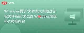 Windows提示“文件太大大超过目标文件系统”怎么办 Windows硬盘格式转换教程