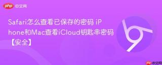 Safari怎么查看已保存的密码 iPhone和Mac查看iCloud钥匙串密码【安全】