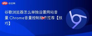 谷歌浏览器怎么单独设置网站音量 Chrome音量控制插件推荐【技巧】