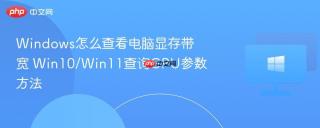 Windows怎么查看电脑显存带宽 Win10/Win11查询GPU参数方法