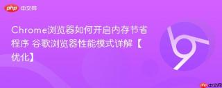 Chrome浏览器如何开启内存节省程序 谷歌浏览器性能模式详解【优化】