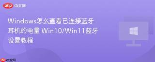 Windows怎么查看已连接蓝牙耳机的电量 Win10/Win11蓝牙设置教程