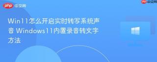 Win11怎么开启实时转写系统声音 Windows11内置录音转文字方法