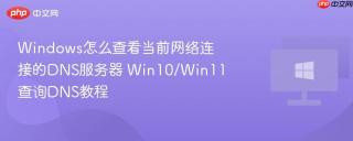 Windows怎么查看当前网络连接的DNS服务器 Win10/Win11查询DNS教程