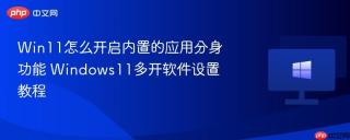 Win11怎么开启内置的应用分身功能 Windows11多开软件设置教程