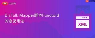BizTalk Mapper脚本Functoid的高级用法