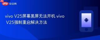 vivo V25屏幕黑屏无法开机 vivo V25强制重启解决方法