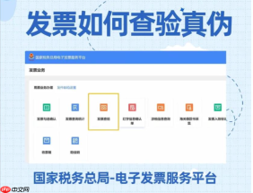国家税务总局全国发票查验平台怎么查真伪 电子发票真伪查询详细流程【步骤】