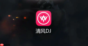 清风dj音乐网中文舞曲 清风dj老站入口