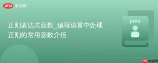 正则表达式函数_编程语言中处理正则的常用函数介绍