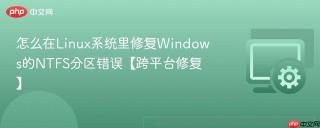 怎么在linux系统里修复windows的ntfs分区错误【跨平台修复】