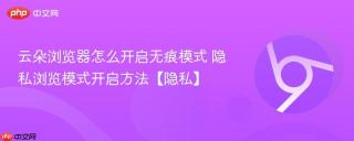云朵浏览器怎么开启无痕模式 隐私浏览模式开启方法【隐私】