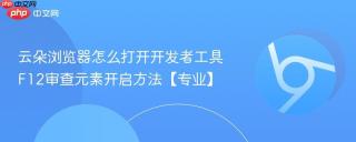 云朵浏览器怎么打开开发者工具 F12审查元素开启方法【专业】