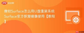 微软Surface怎么用U盘重装系统 Surface官方恢复镜像使用【教程】
