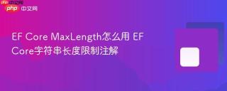 EF Core MaxLength怎么用 EF Core字符串长度限制注解