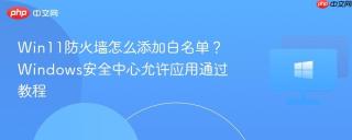 Win11防火墙怎么添加白名单？Windows安全中心允许应用通过教程