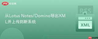 从Lotus Notes/Domino导出XML并上传到新系统