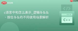 c语言中和怎么表示_逻辑与&&、按位与&的不同使用场景解析