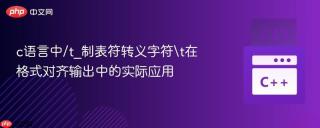 c语言中/t_制表符转义字符\t在格式对齐输出中的实际应用