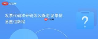 发票代码和号码怎么查询 发票信息查询教程