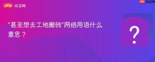 “甚至想去工地搬砖”网络用语什么意思？