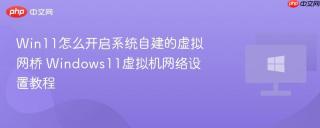 Win11怎么开启系统自建的虚拟网桥 Windows11虚拟机网络设置教程